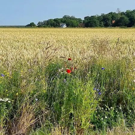 Hébergement de vacances Renovated In Bratten - By Traum